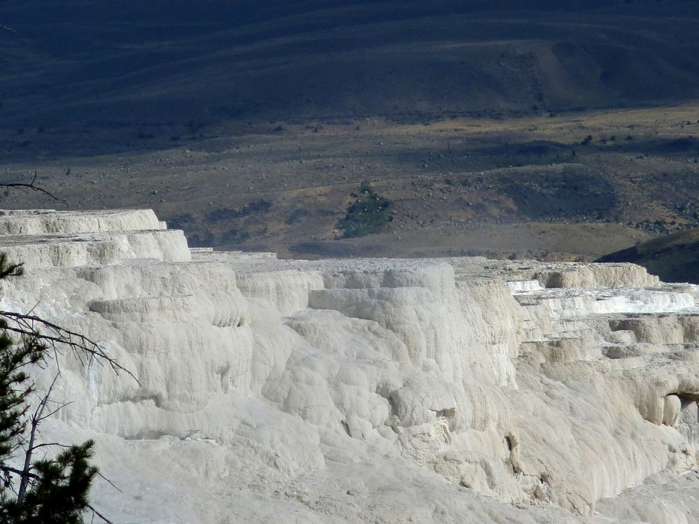 Yellowstone Mammoth Hotsprings (88).JPG